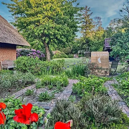 Haus-unter-reet Nyaraló Nebel