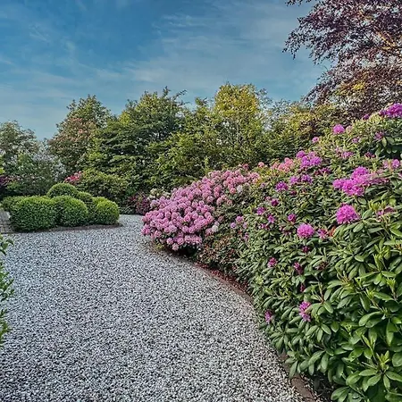 Haus-unter-reet Nyaraló