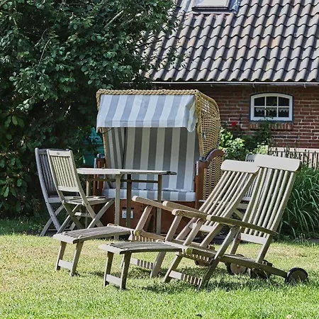 Haus-unter-reet * Nebel