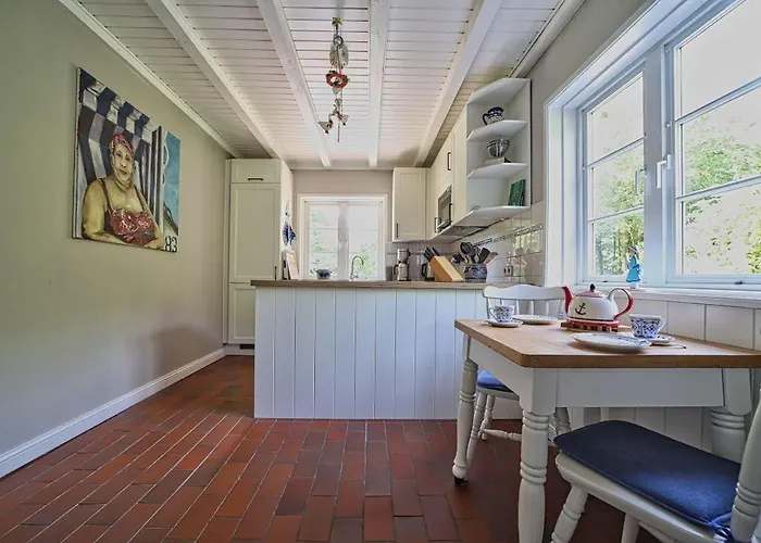 Haus-unter-reet * Nebel